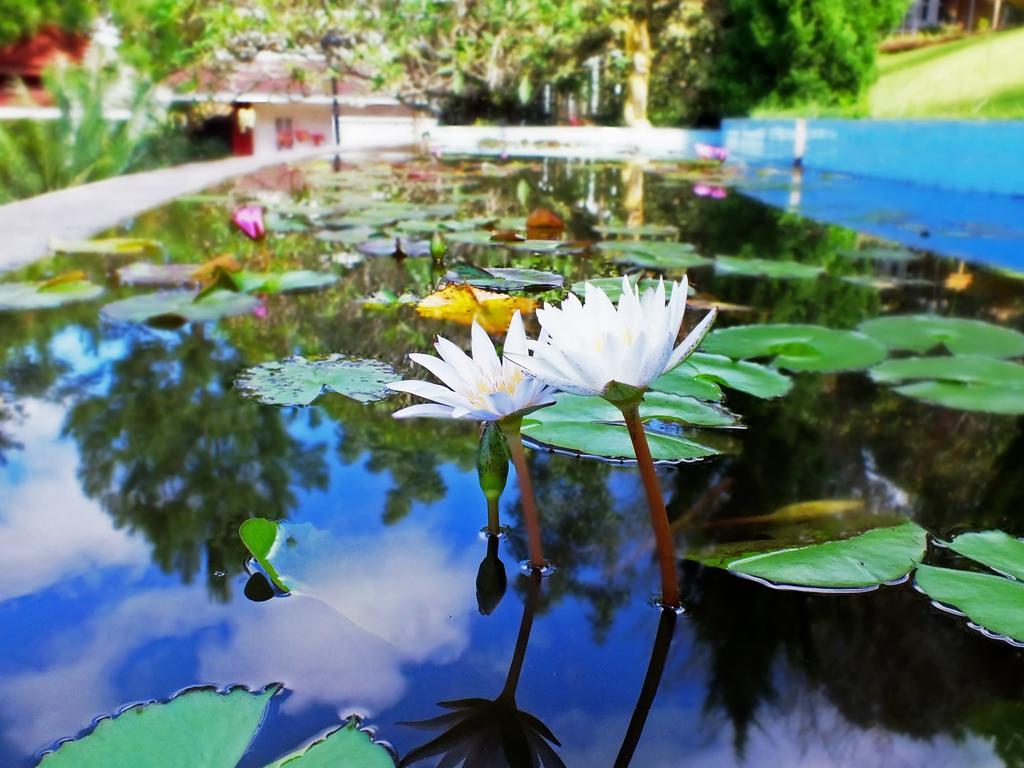 Royal Kalaw Hills Resort Exteriér fotografie